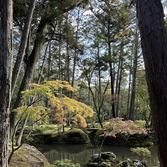 12月のお知らせ
