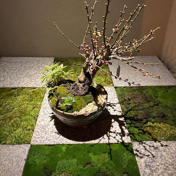 1月のお知らせ