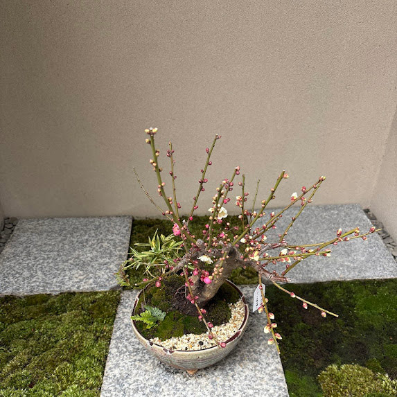 1月のお知らせ