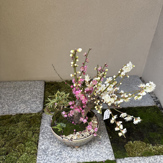 2月のお知らせ
