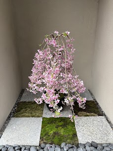 4月のお知らせ