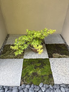 5月のお知らせ